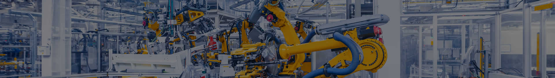 走進(jìn)金泰瀛